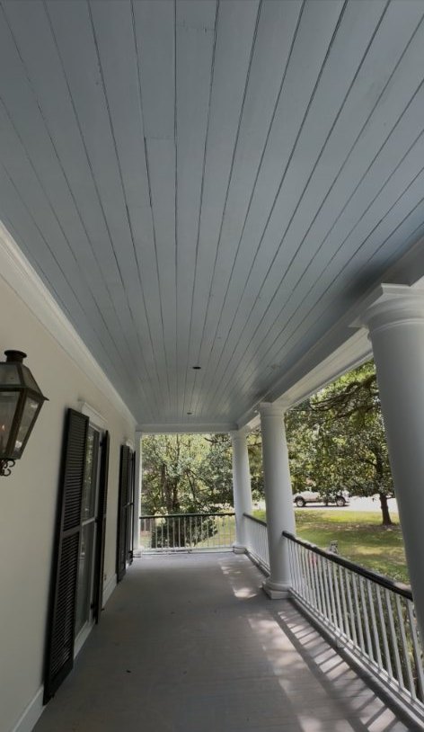 Porch Ceiling Mold Removal after