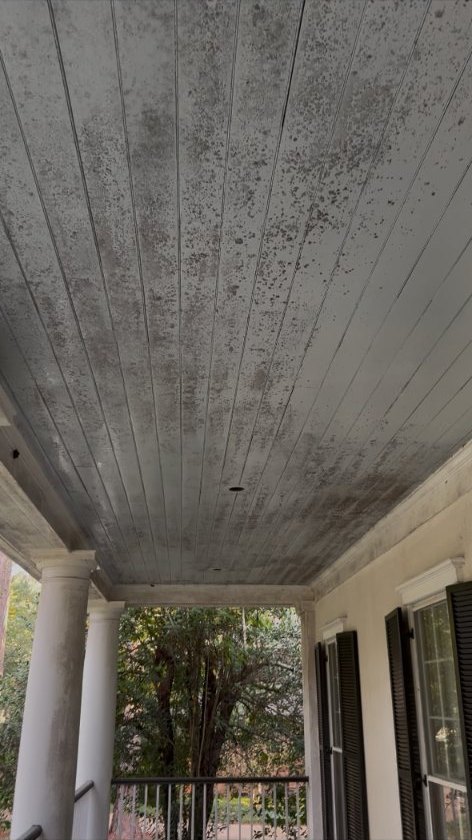Porch Ceiling Mold Removal before