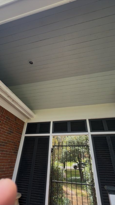 House Siding Algae Removal after