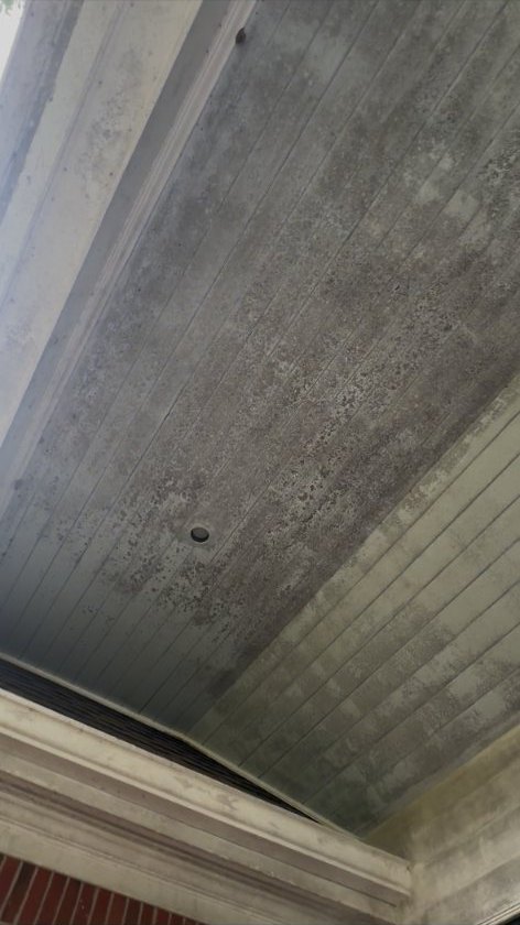 House Siding Algae Removal before